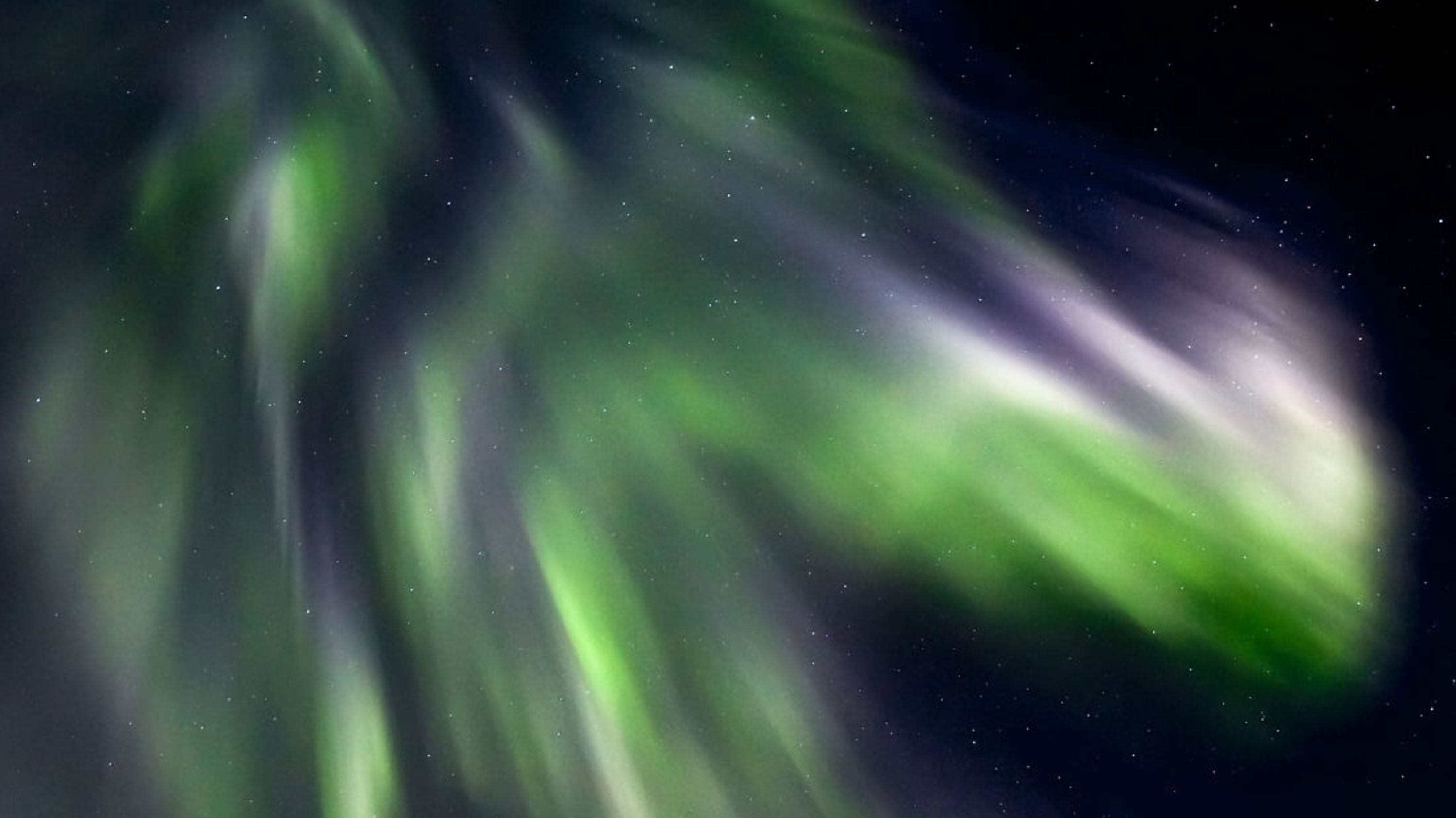 羅瓦涅米北極光之旅（Aurora Borealis tour）並享用拉普蘭野餐