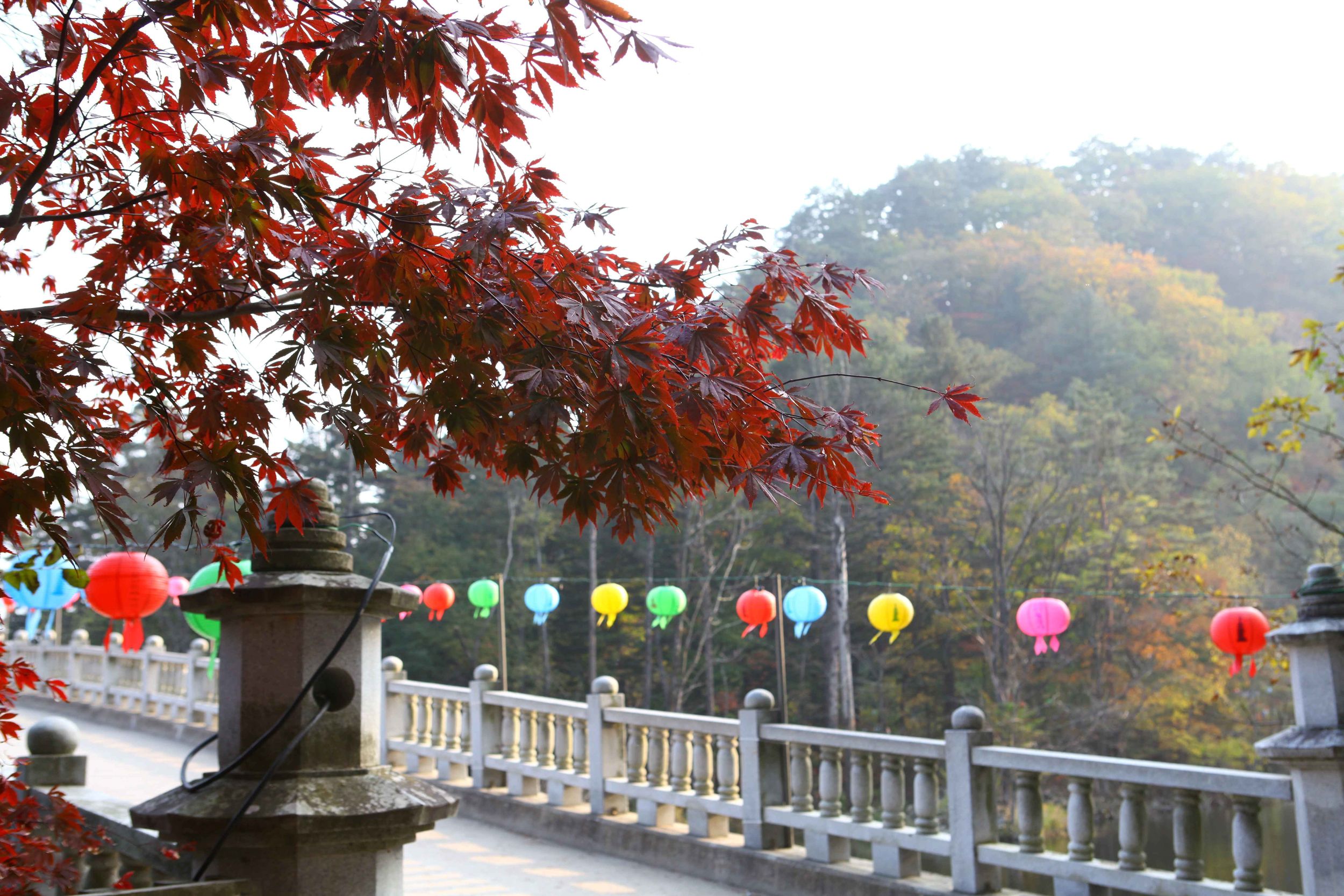 Balwangsan Cable Car from Seoul: Scenic Highland Views&Forest Trails