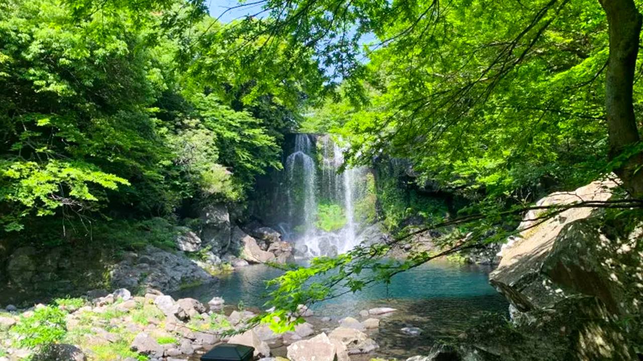 探索濟州最寧靜的天然山谷之一，那裡有著傾瀉而下的翠綠瀑布。