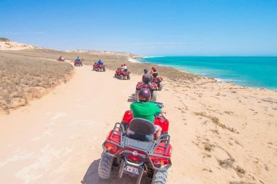 馬卡迪：橙色島、速度 & 日落 ATV 四輪車（含午餐）