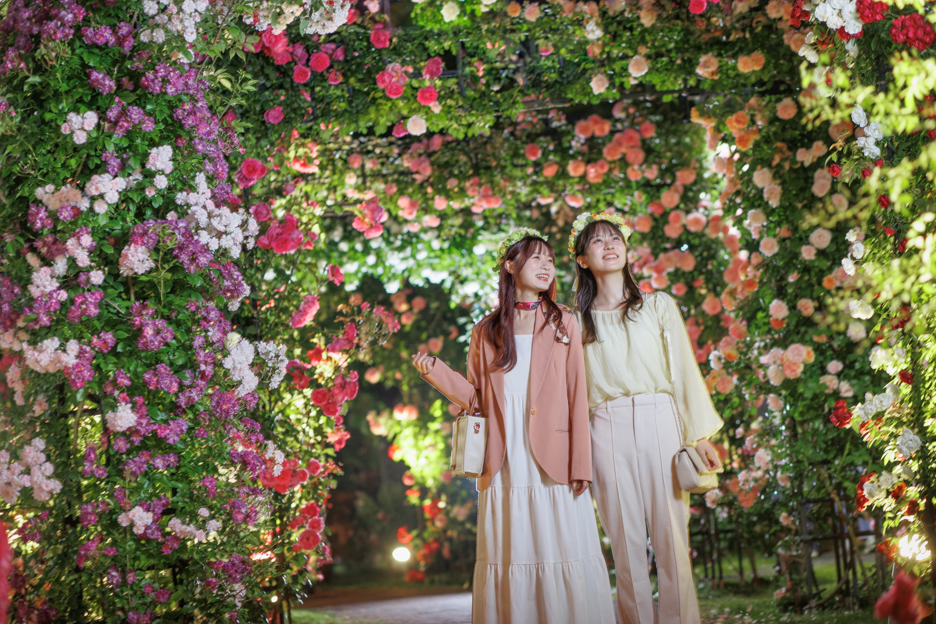 【夜玫瑰】 閃耀的玫瑰點亮街道，營造浪漫魔幻之夜