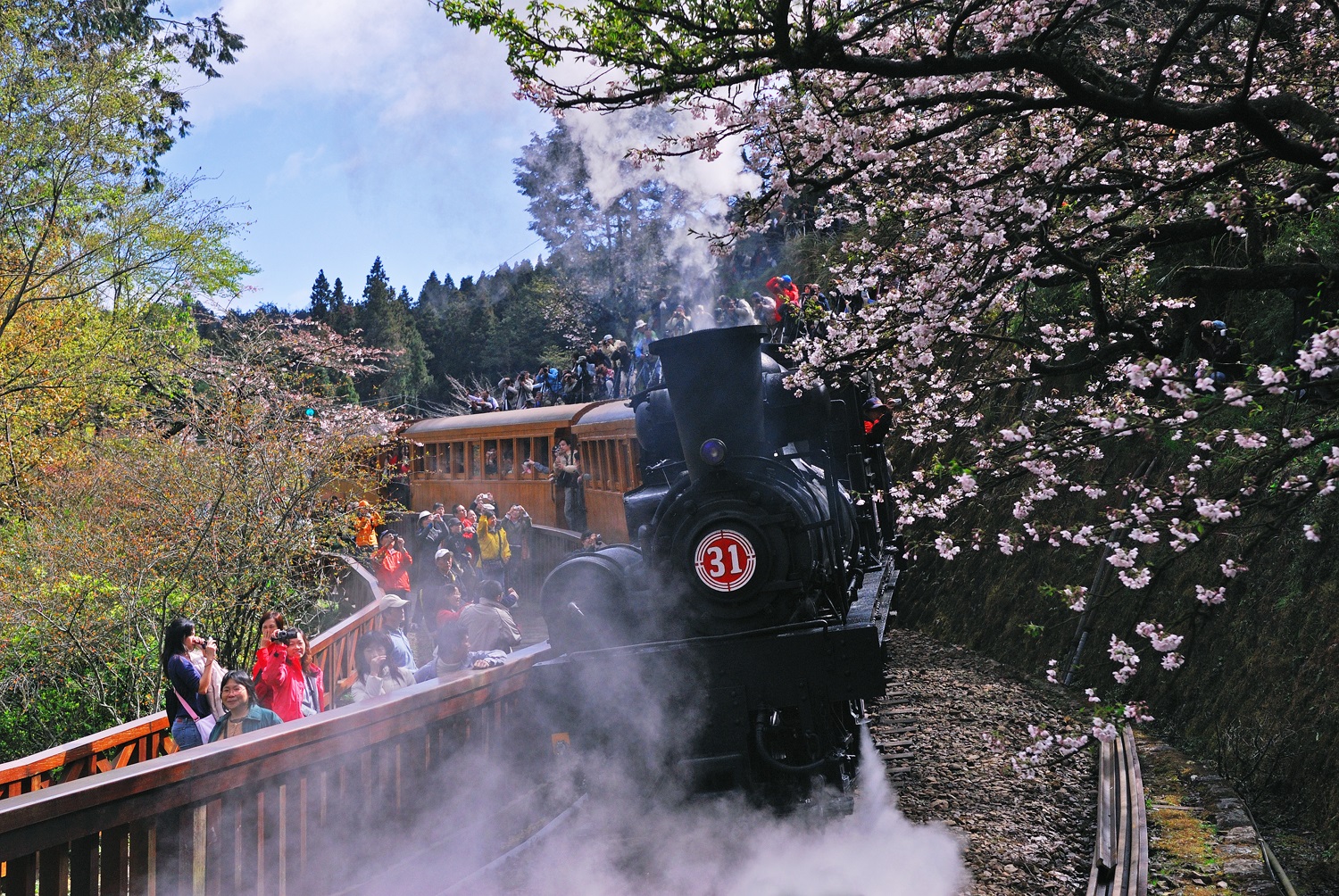 Alishan Forest Railway Alishan Forest Railway