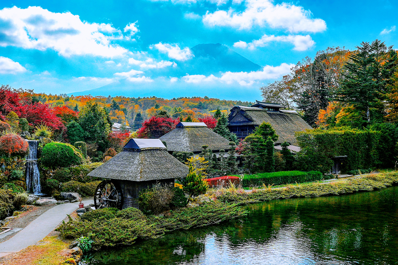 富士山山中湖單車騎行 河口湖纜車 抹茶體驗 網紅景點打卡二日遊｜4~9人精品小團｜東京/新宿出發