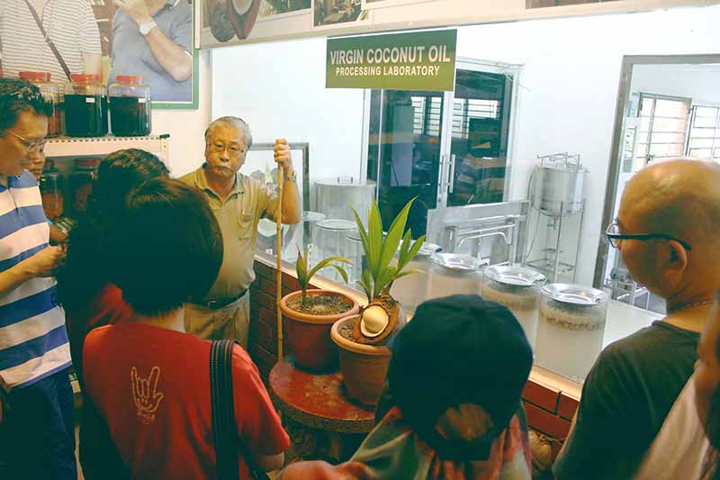 檳城熱帶水果農場導覽之旅