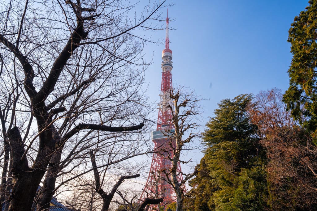 1-Day Tokyo Highlights Tour with a Private Car and Guide