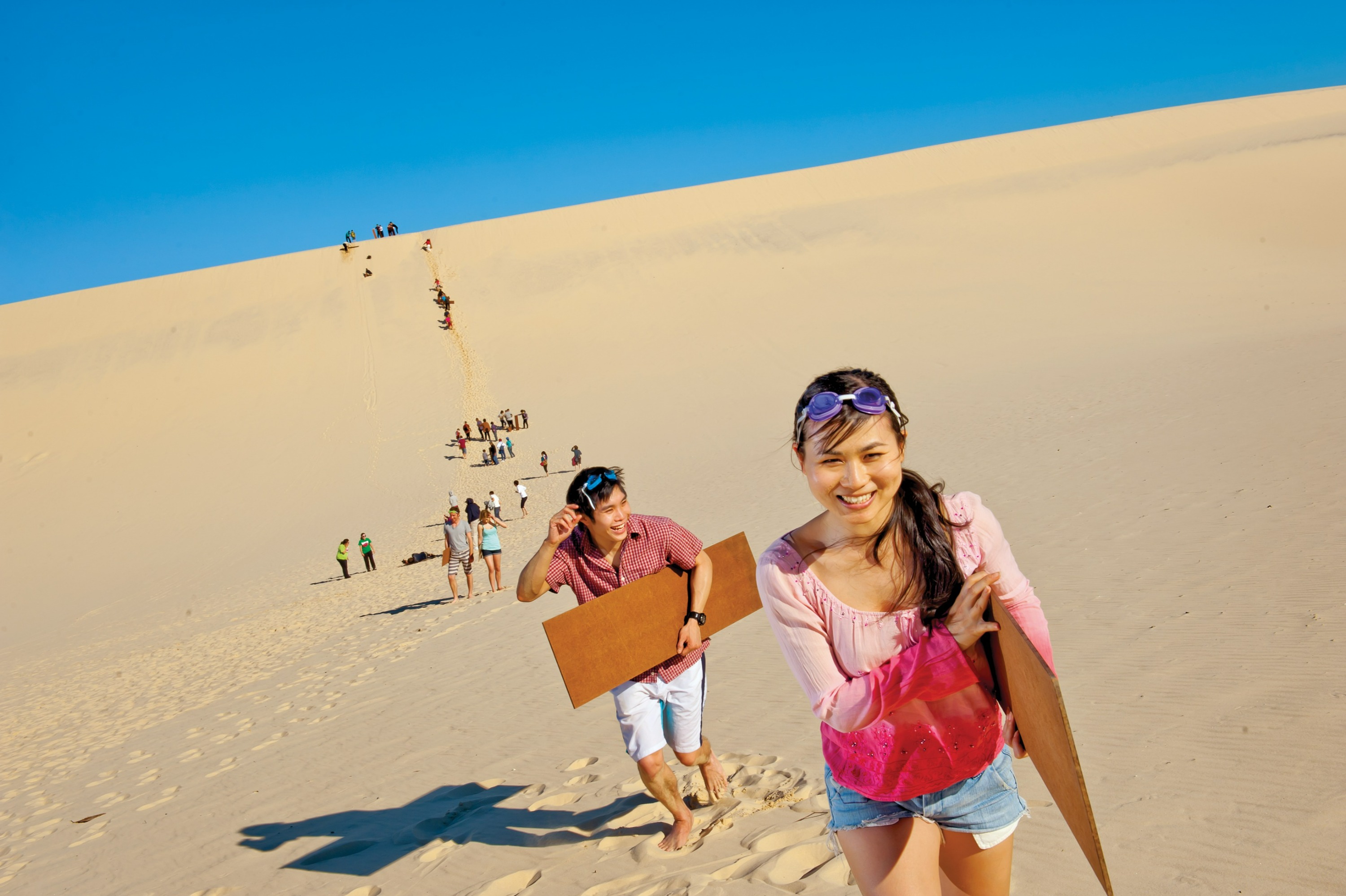 Tangalooma Day Tour with Transfers and English or Japanese Guide