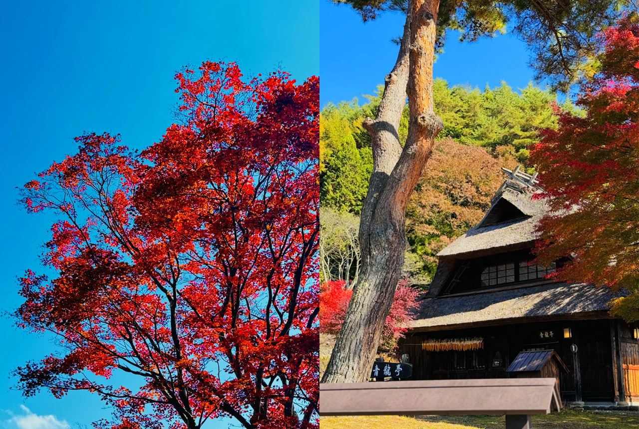 富士山探索之旅-新倉山淺間公園·天梯小鎮·忍野八海·河口湖大石公園·西湖療愈里根場一日遊