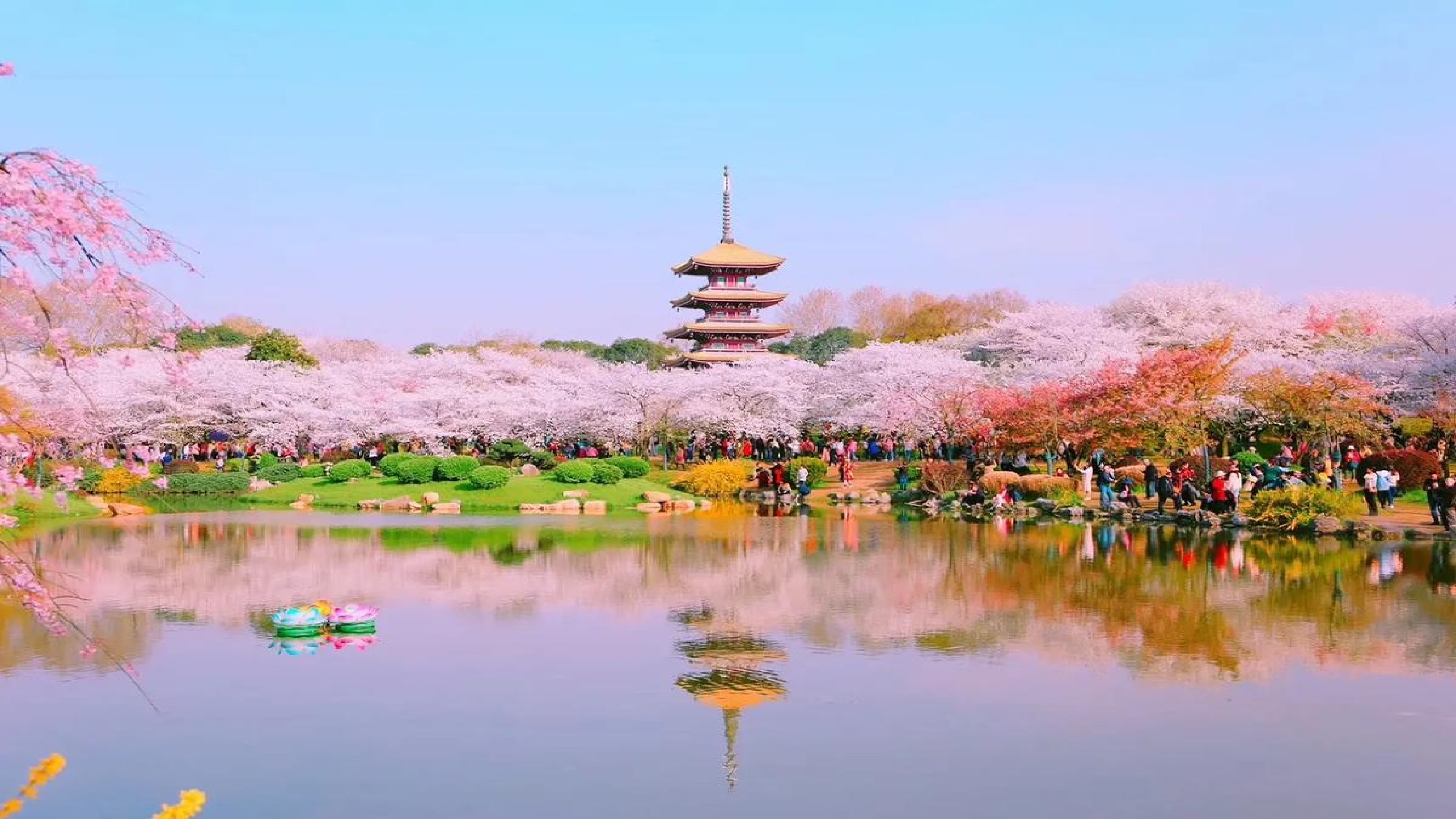Zhiying Wuhan: Moshan Cherry Blossom Garden + Hubu Alley + Yellow Crane Tower + Jianghan Road Pedestrian Street + Yangtze River Glory Night Cruise One-Day Tour