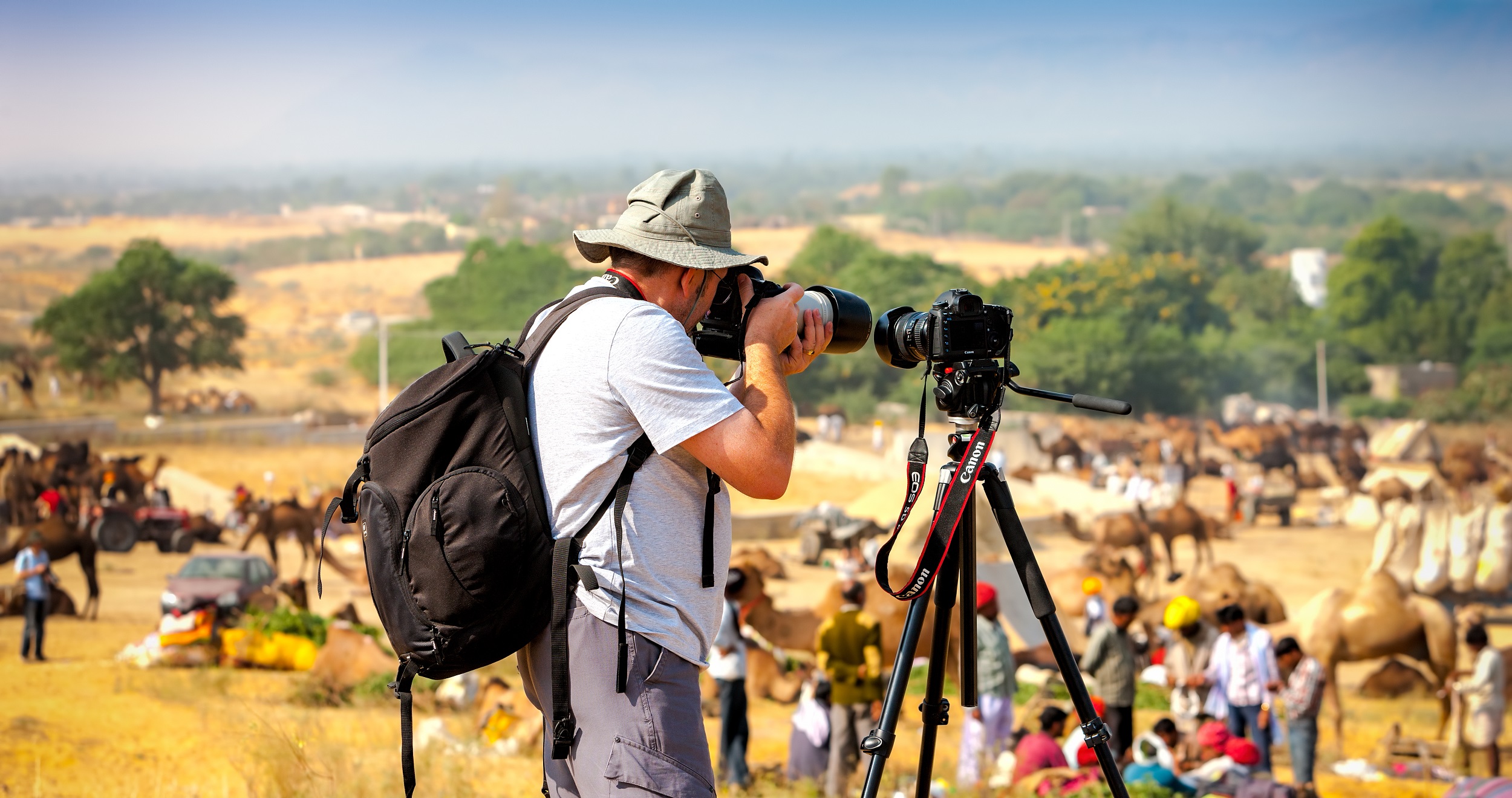 Camel fair in Pushkar on November month. 