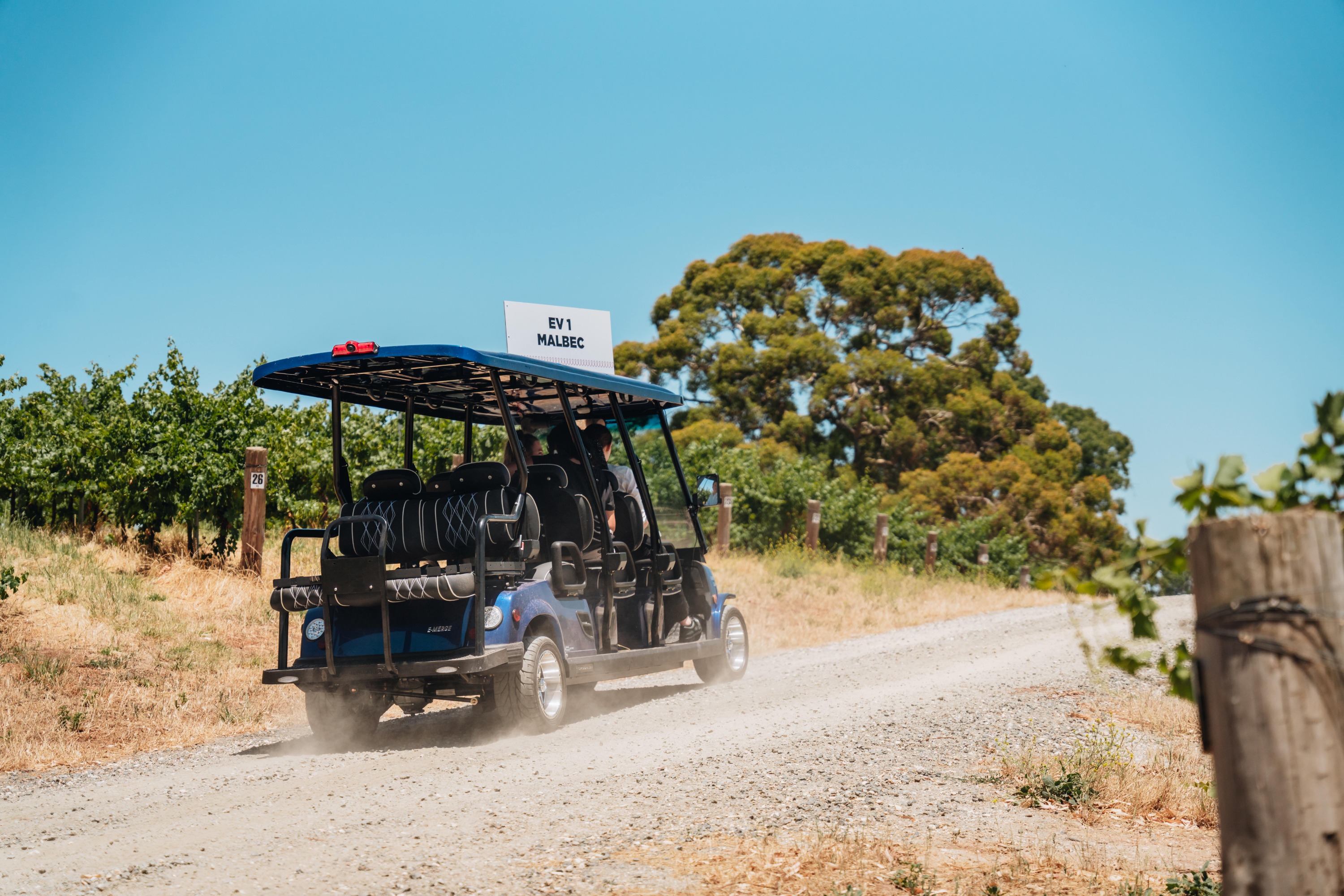 EcoVine Wineyard Explorer Guided Tour