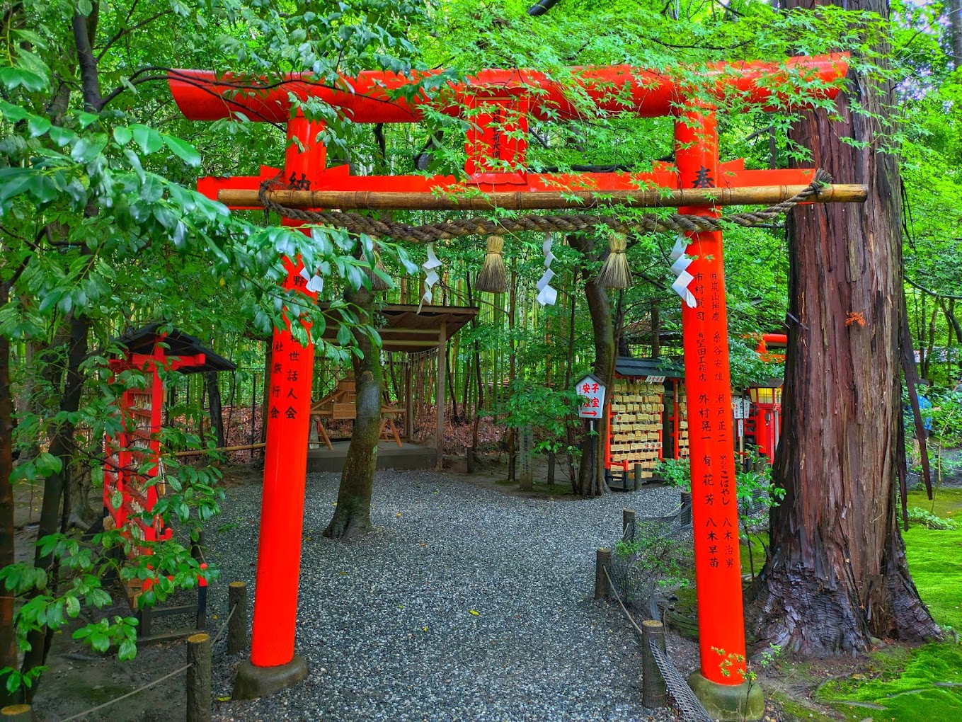 京都嵐山美景文化探秘及奈良萌鹿趣味體驗一日遊