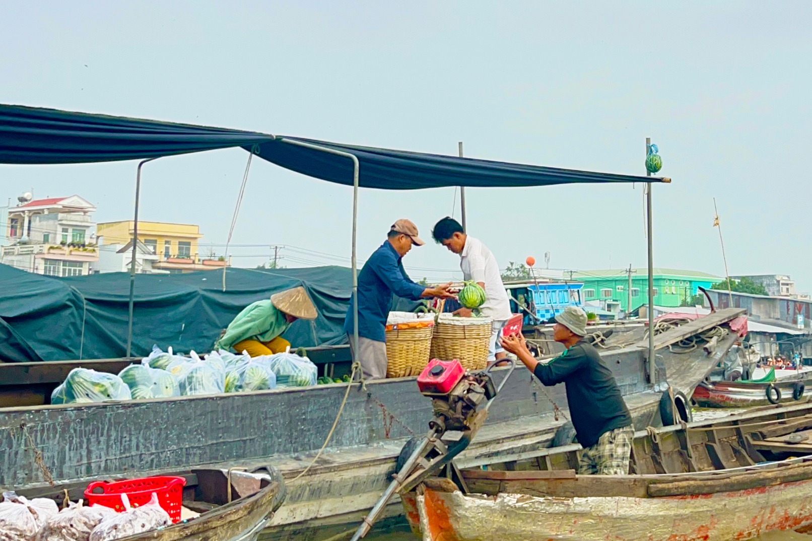 Visit to the lively Cai Rang Floating Market