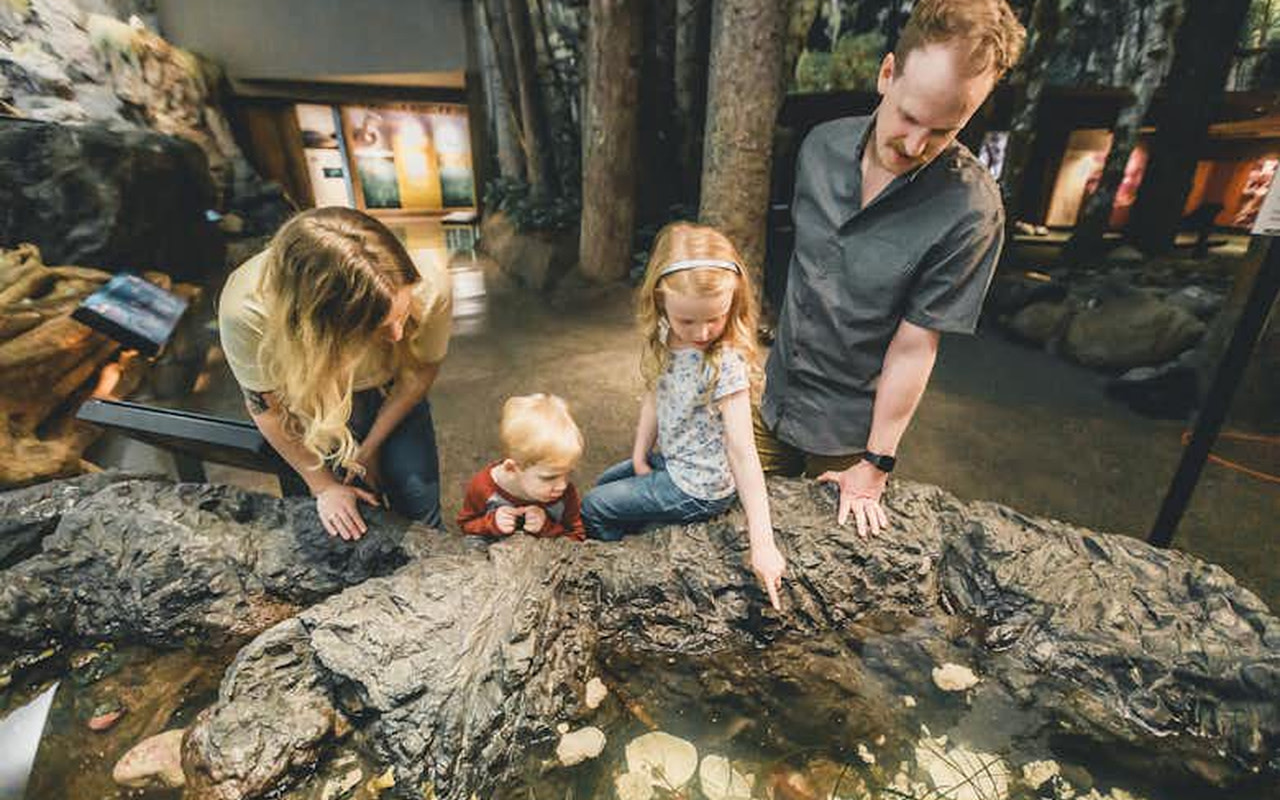 互動式展品讓好奇的您盡情探索大自然的奧秘。


