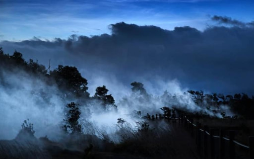 與好友一同探索漆黑火山熔岩地中，新生的生命力