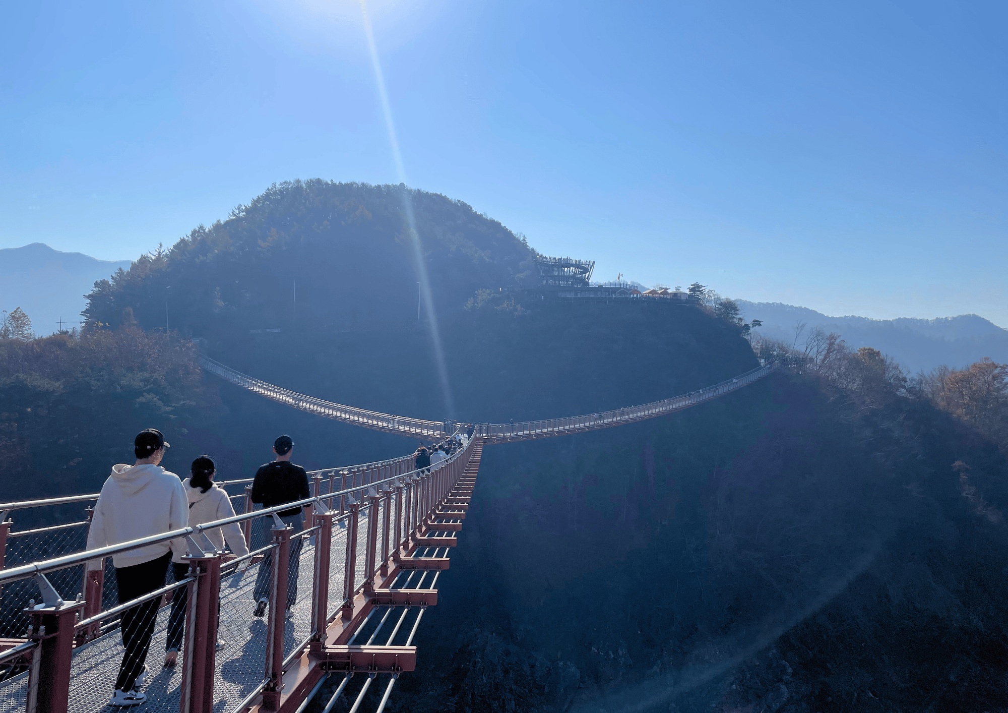 抱川一日遊：Y 字型吊橋與香草島樂園