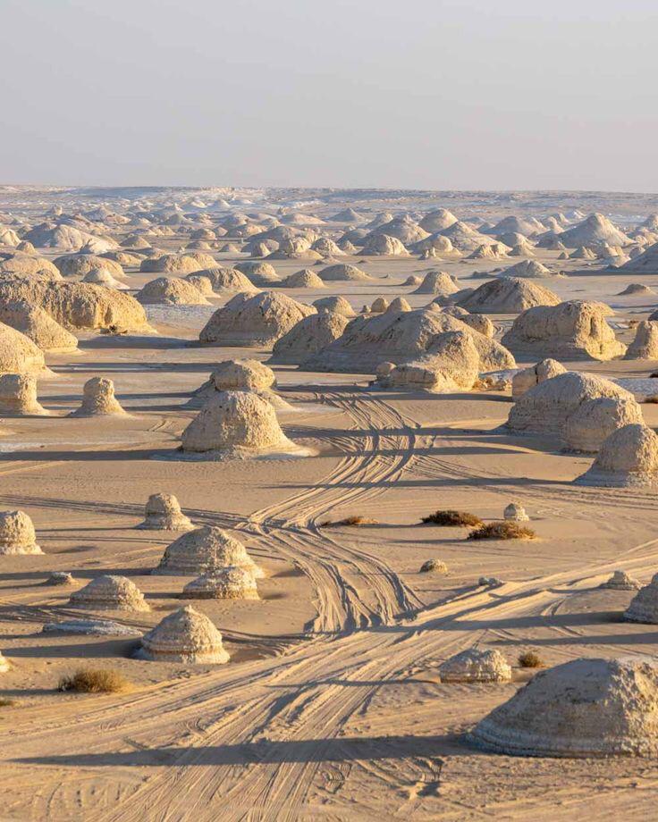 3 Days, 2 Nights Discover Bahariya Oasis, White and Black Deserts