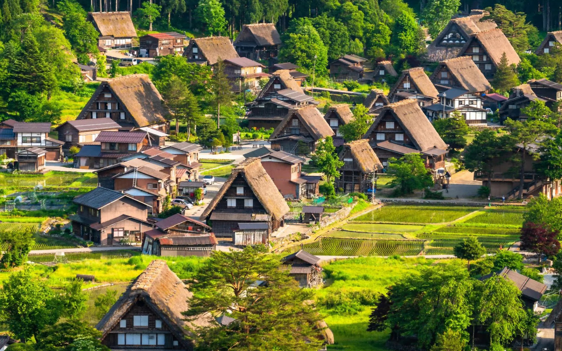 Takayama & Shirakawa-go Full-Day Small Group Cultural Tour