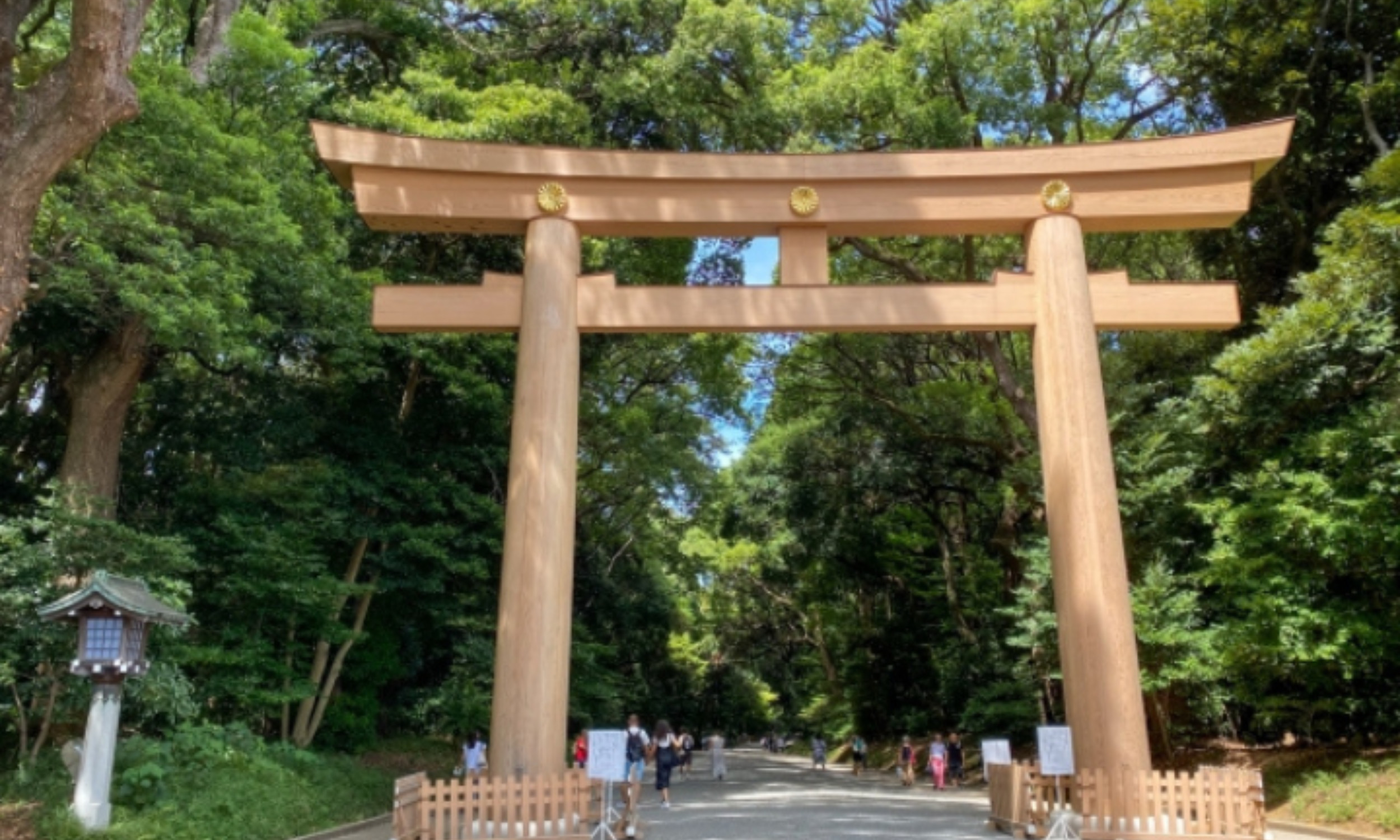 Tokyo Meiji Jingu & Harajuku Half-Day Cultural Exploration
