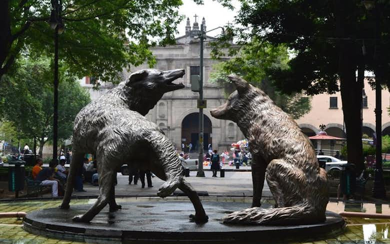 在一日遊中探索科約阿坎 (Coyoacan) 充滿活力的魅力及其標誌性的郊狼守護者