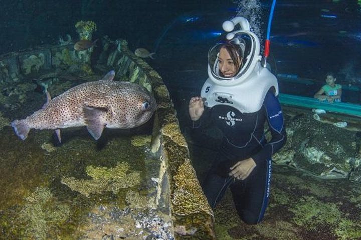 關島海底世界水族館海底漫步體驗