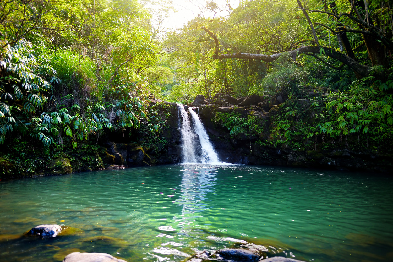 Maui Beach Parks Self-Guided Driving Audio Tour