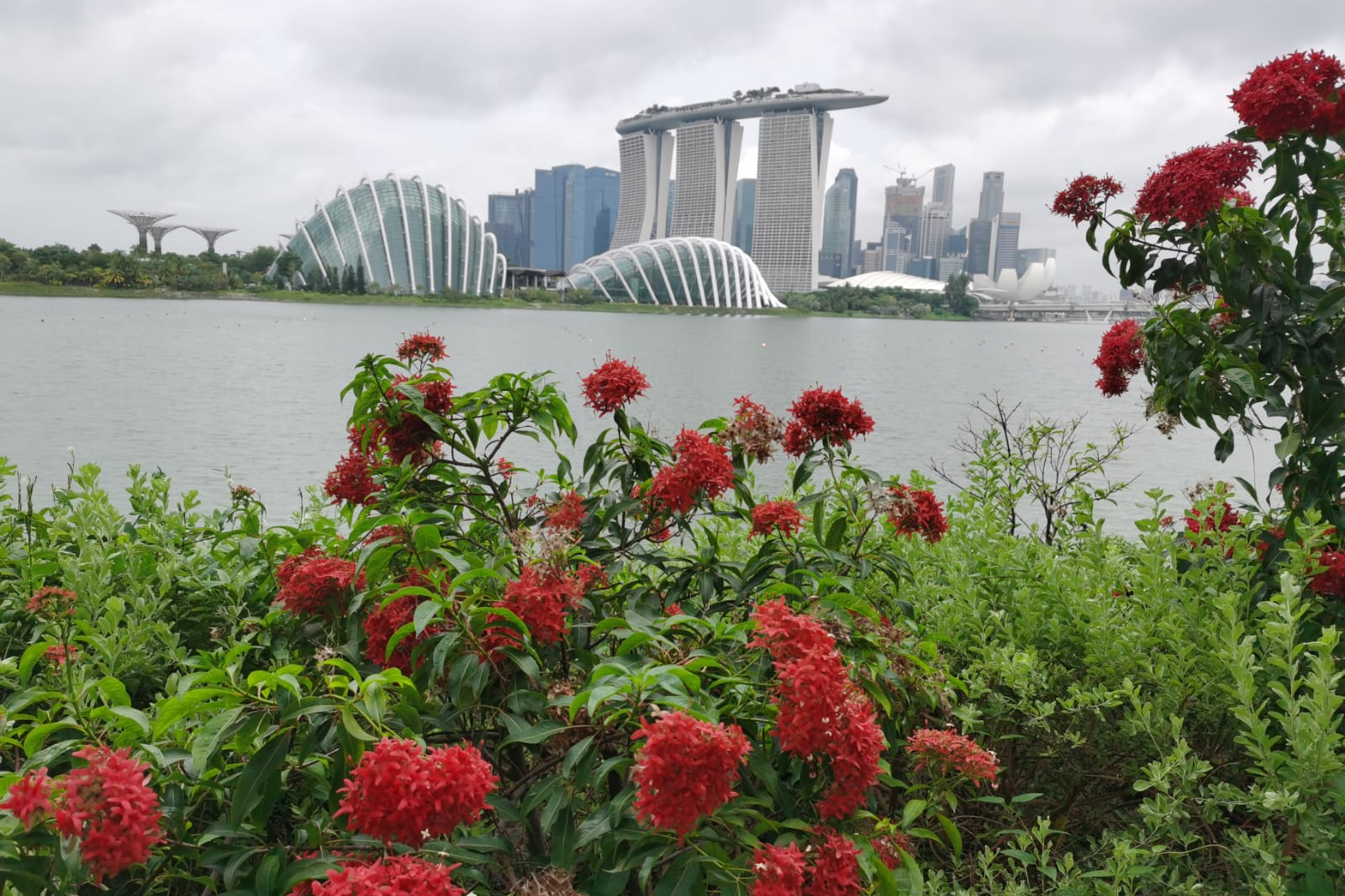 新加坡濱海灣花園 & 濱海灣金沙酒店徒步遊覽（包海鮮午餐/晚餐）