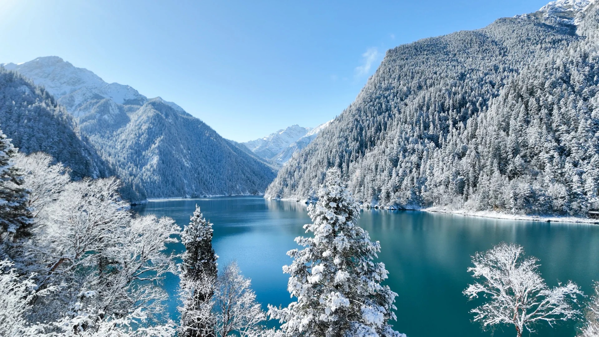 九寨溝,宛如大自然饋贈給人間的一塊瑰寶,鑲嵌在川西北的崇山峻嶺之中,享有 “水景之王” 的美譽 九寨溝,宛如大自然饋贈給人間的一塊瑰寶,鑲嵌在川西北的崇山峻嶺之中,享有 “水景之王” 的美譽