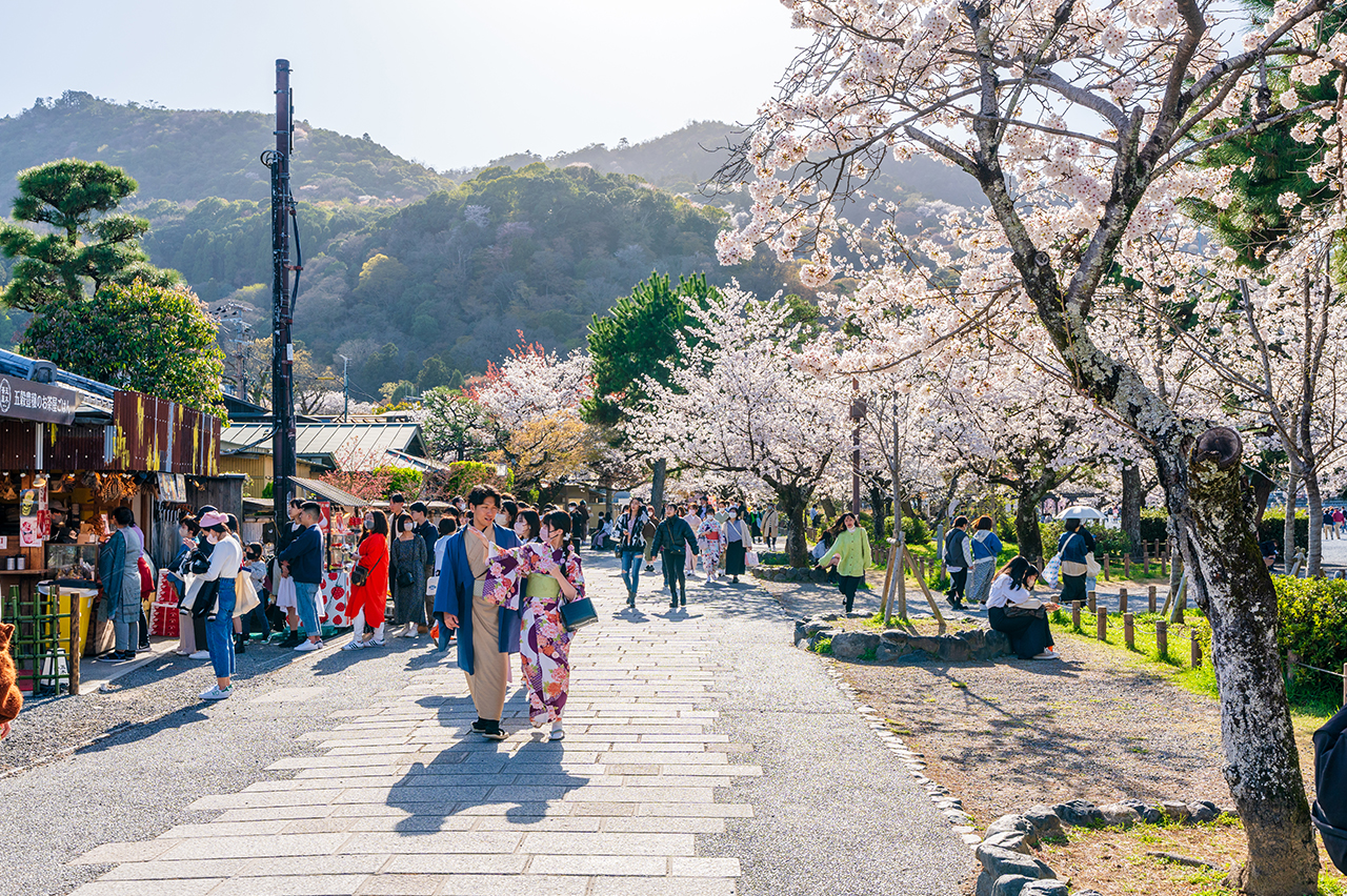 古都文化巡禮之旅：奈良東大寺, 京都伏見稻荷大社, 千本鳥居, 京都天龍寺, 世界文化遺產（大阪發車 | 京都/大阪下車）