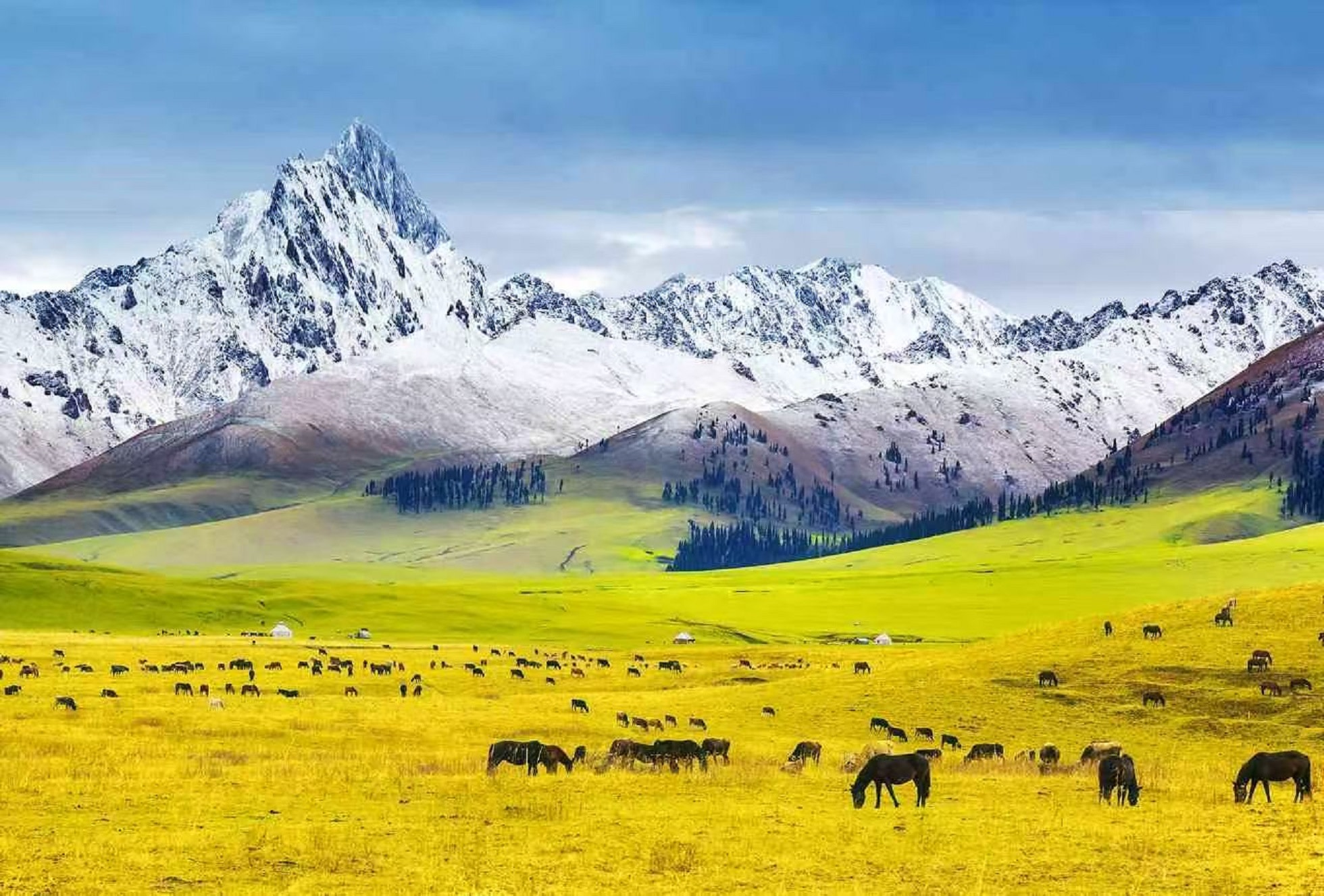 Yining Nalati Grassland One-Day Small Group Tour