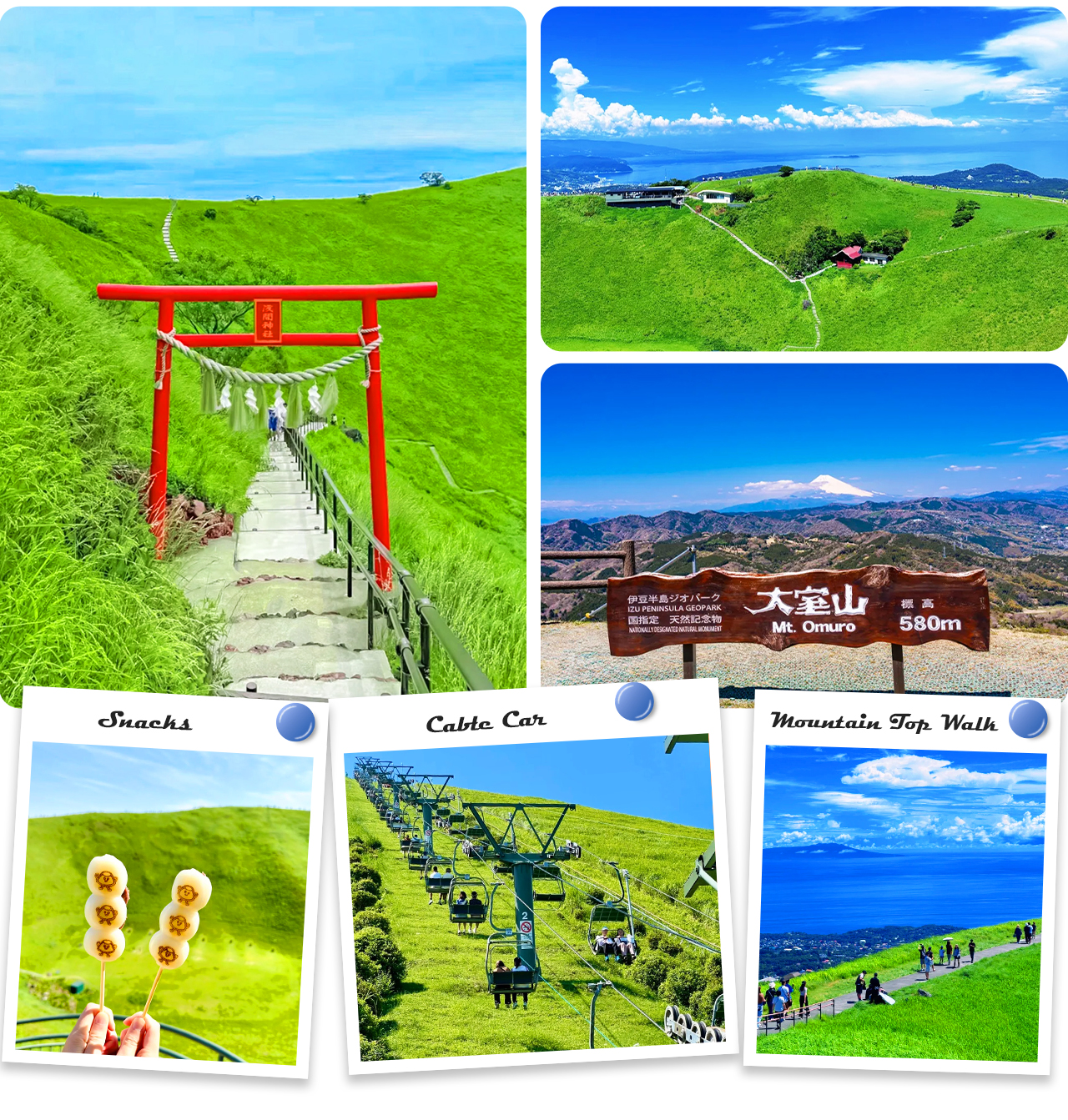 搭乘纜車輕鬆登頂，春櫻、秋楓、冬雪，各季都有不同風貌，是伊豆東海岸的人氣景點🎑