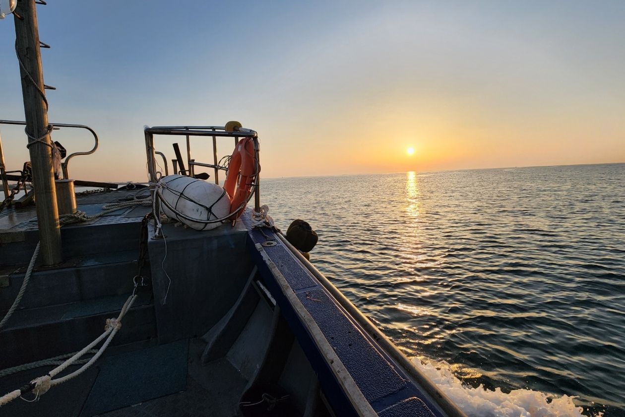 Jeju Sea Boat Fishing Tour with Lunch Included