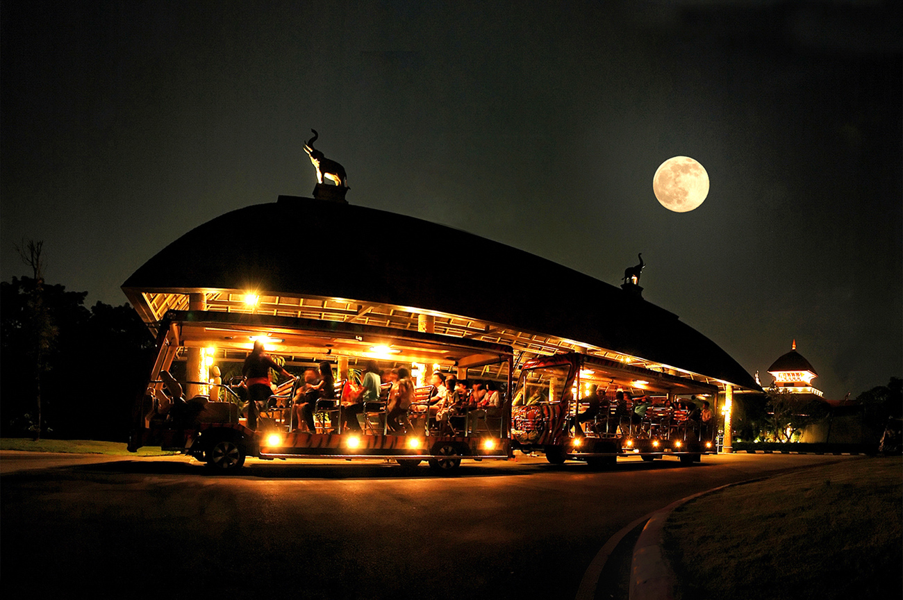 清邁夜間動物園 泰國居民門票