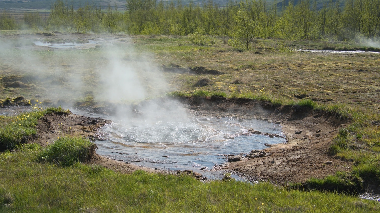 Private Tour from Reykjavík to the Golden Circle