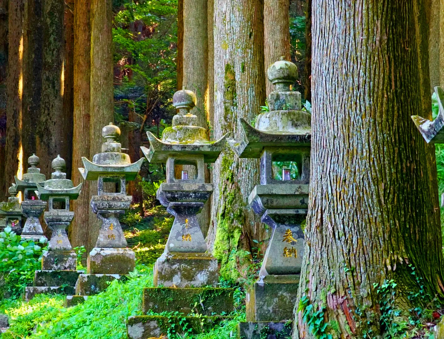 【暑期特惠】九州避暑之旅 | 上色見熊野神社&阿蘇山草千里&黑川溫泉(熊本/福岡出發)