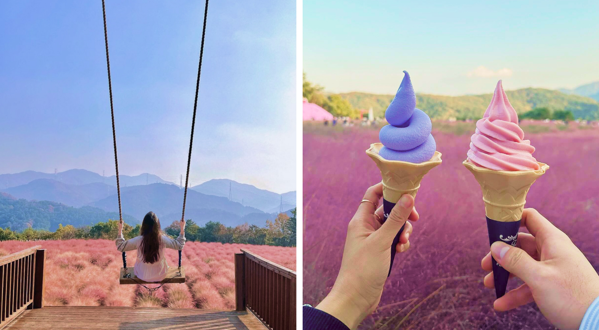 🌾到處都是拍照點，非常適合追逐柔和粉色光芒的朋友、情侶或獨自旅行者。這個季節充滿了溫暖的色彩、舒適的散步和難忘的照片。