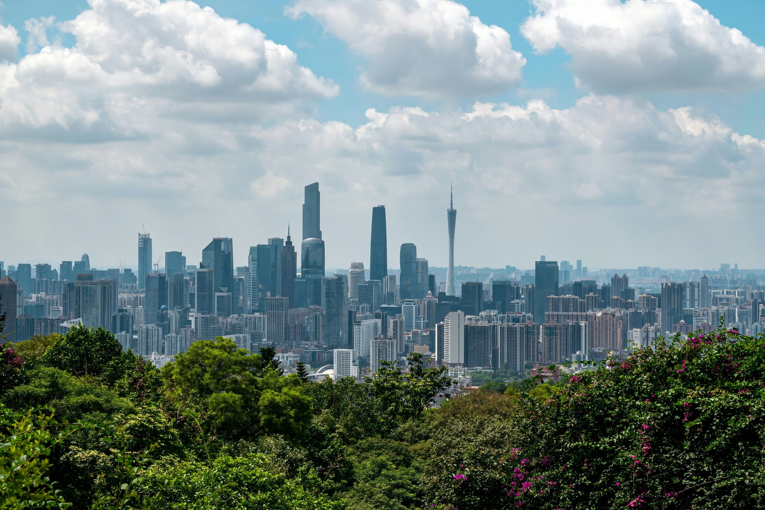 Guangzhou Layover Private Day Tour: Visa-Free Introductory Tour of the City of Goats