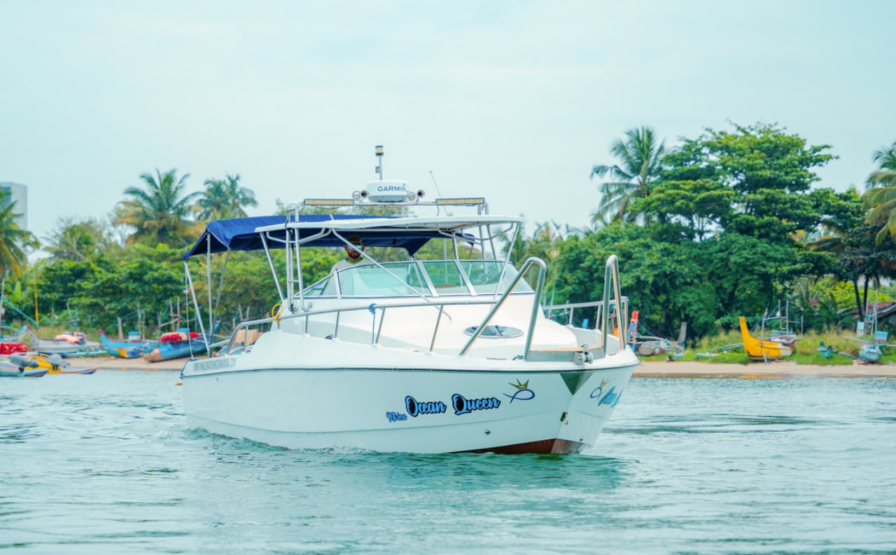 Whale Watching Mirissa VIP Private Sports Boat Trip