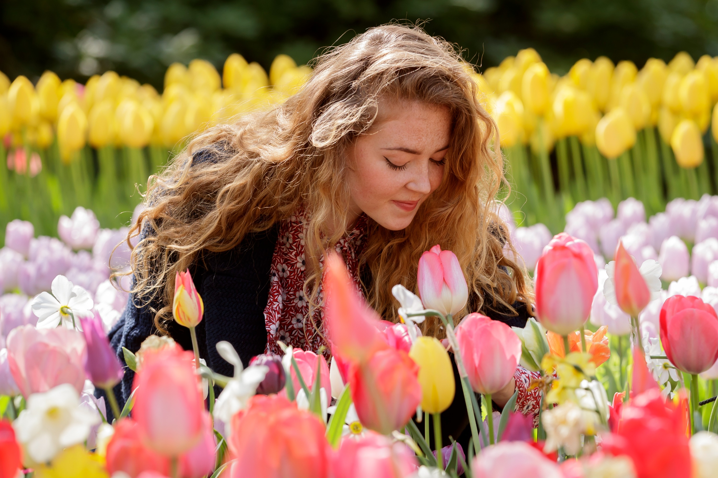 Keukenhof Gardens Ticket with Hop-on Hop-off Bus from Amsterdam