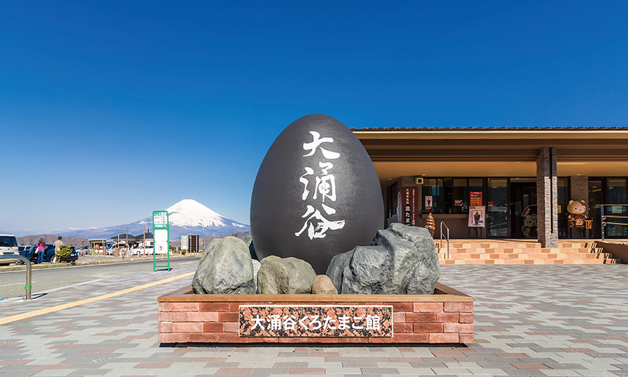 富士山與箱根「水陸空」探索之旅（贈箱根空車纜車　東京出發）