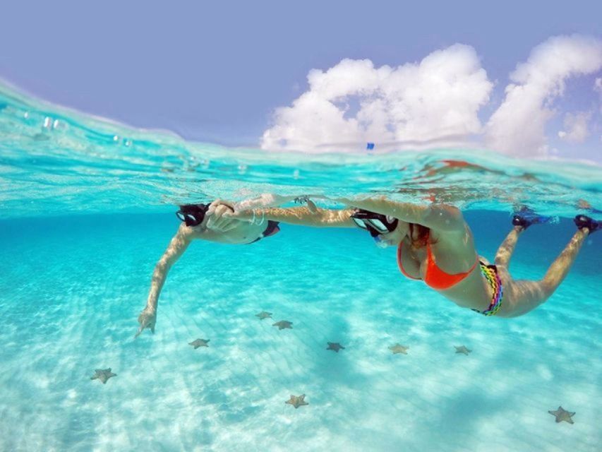 赫爾格達：私人快艇之旅3個浮潛點