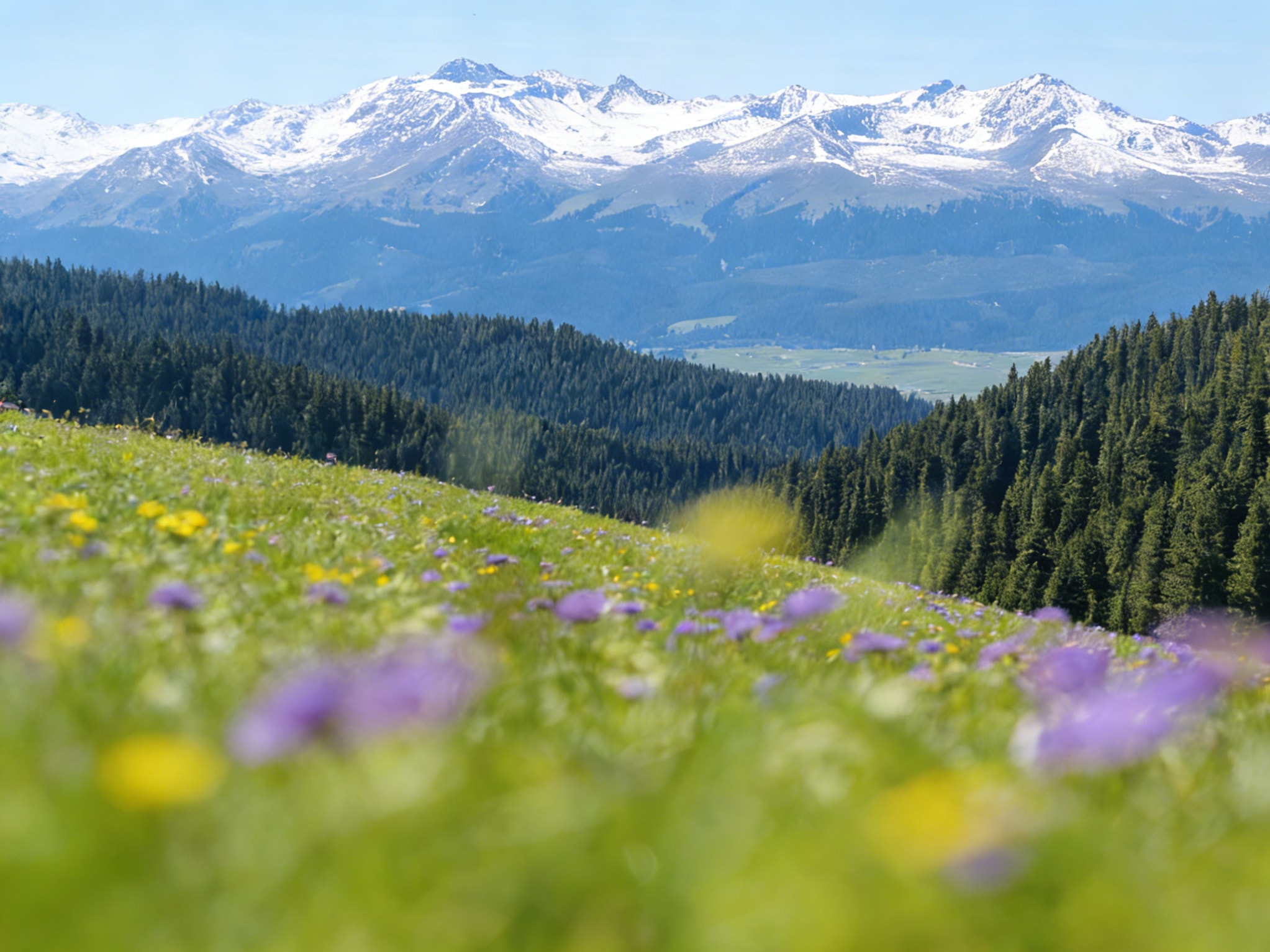 The Kalajun Grassland is located on the southeast side of Tekes County, Yili, Xinjiang, and is one of the famous grasslands in Xinjiang, Yili Prefecture Culture and Tourism.