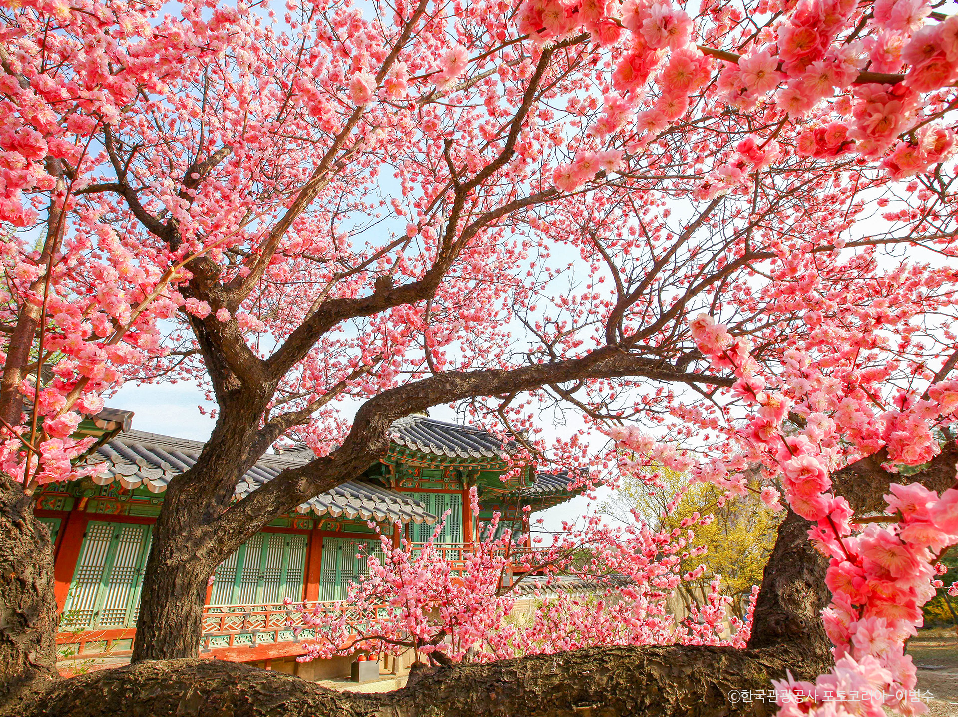 北漢山國立公園：白雲臺徒步 & 午餐一日遊（首爾出發）