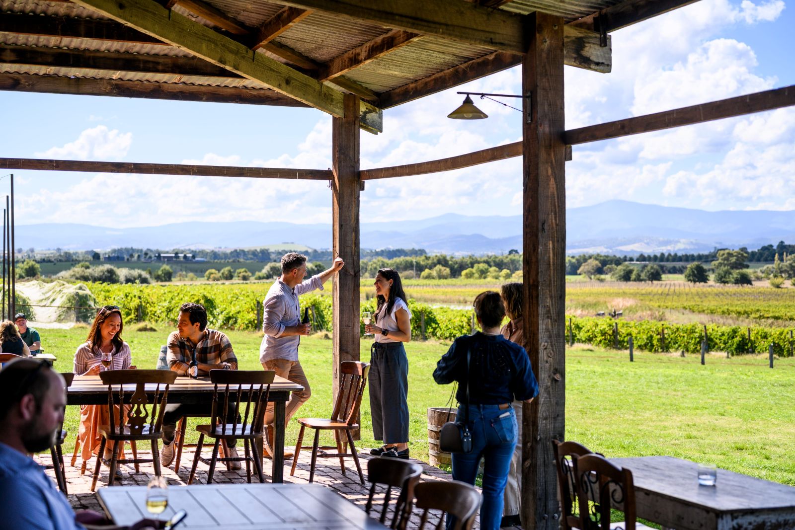 Yarra Valley Private One Day Tour