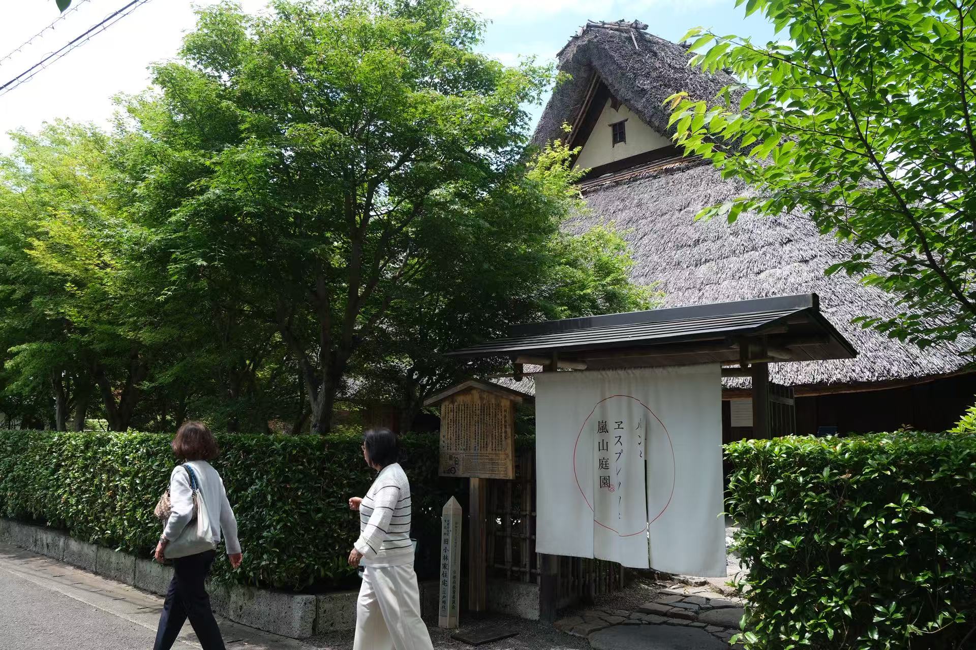 Kyoto: Arashiyama Bamboo Grove, Kinkaku-ji Temple, and Kifune Shrine Day Tour