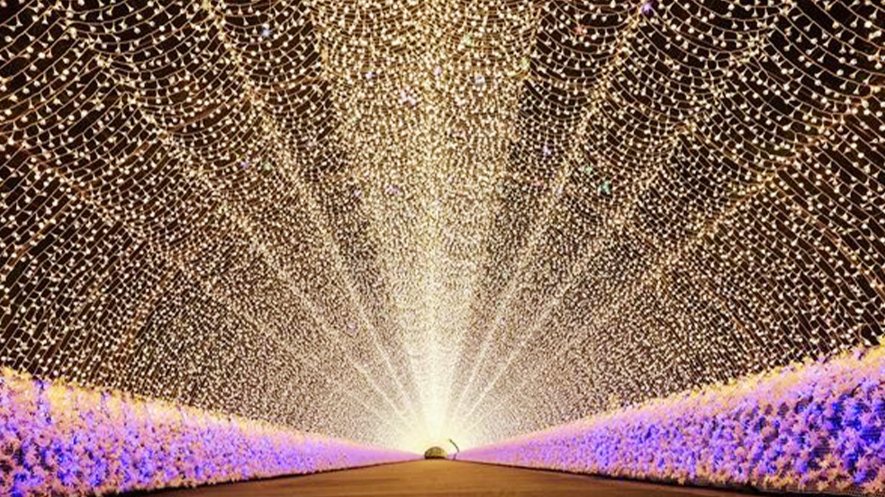 這是花卉主題公園 “花迴廊” 獨有的特色。這裡用以 “溫暖光芒” 為基調、模仿 “可愛花瓣” 的 LED 燈泡打造了全長約 200 米的光之隧道。 這是花卉主題公園 “花迴廊” 獨有的特色。這裡用以 “溫暖光芒” 為基調、模仿 “可愛花瓣” 的 LED 燈泡打造了全長約 200 米的光之隧道。