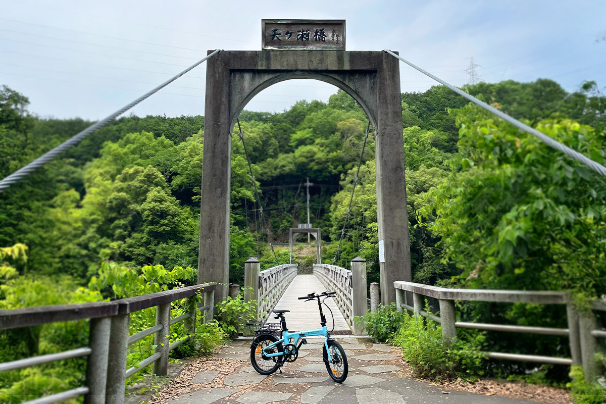 Amagase Dam & Mimuroto-ji Half-day River & Temple Tour