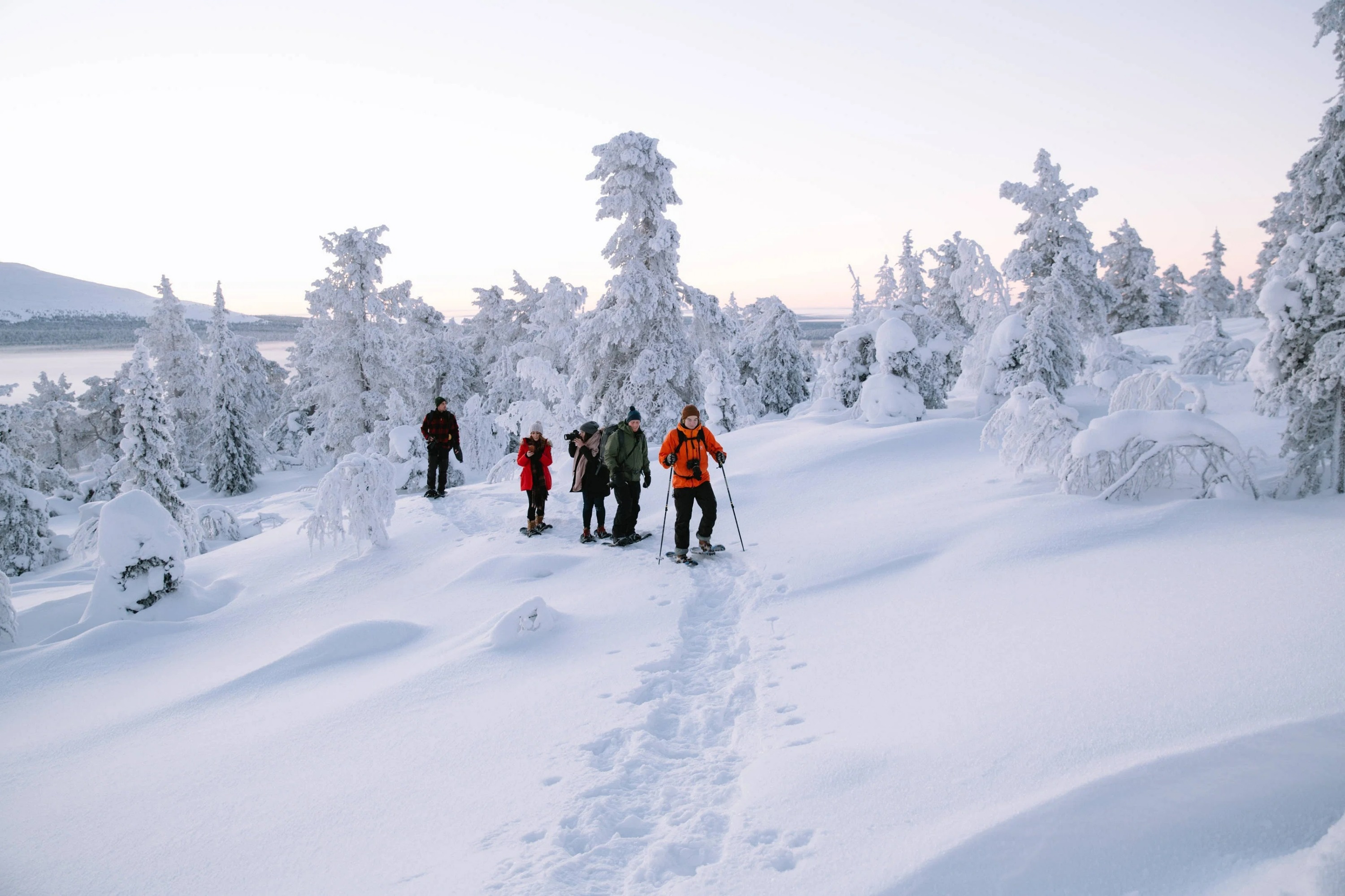 Lapland Hiking and Snowshoeing Tour from Rovaniemi