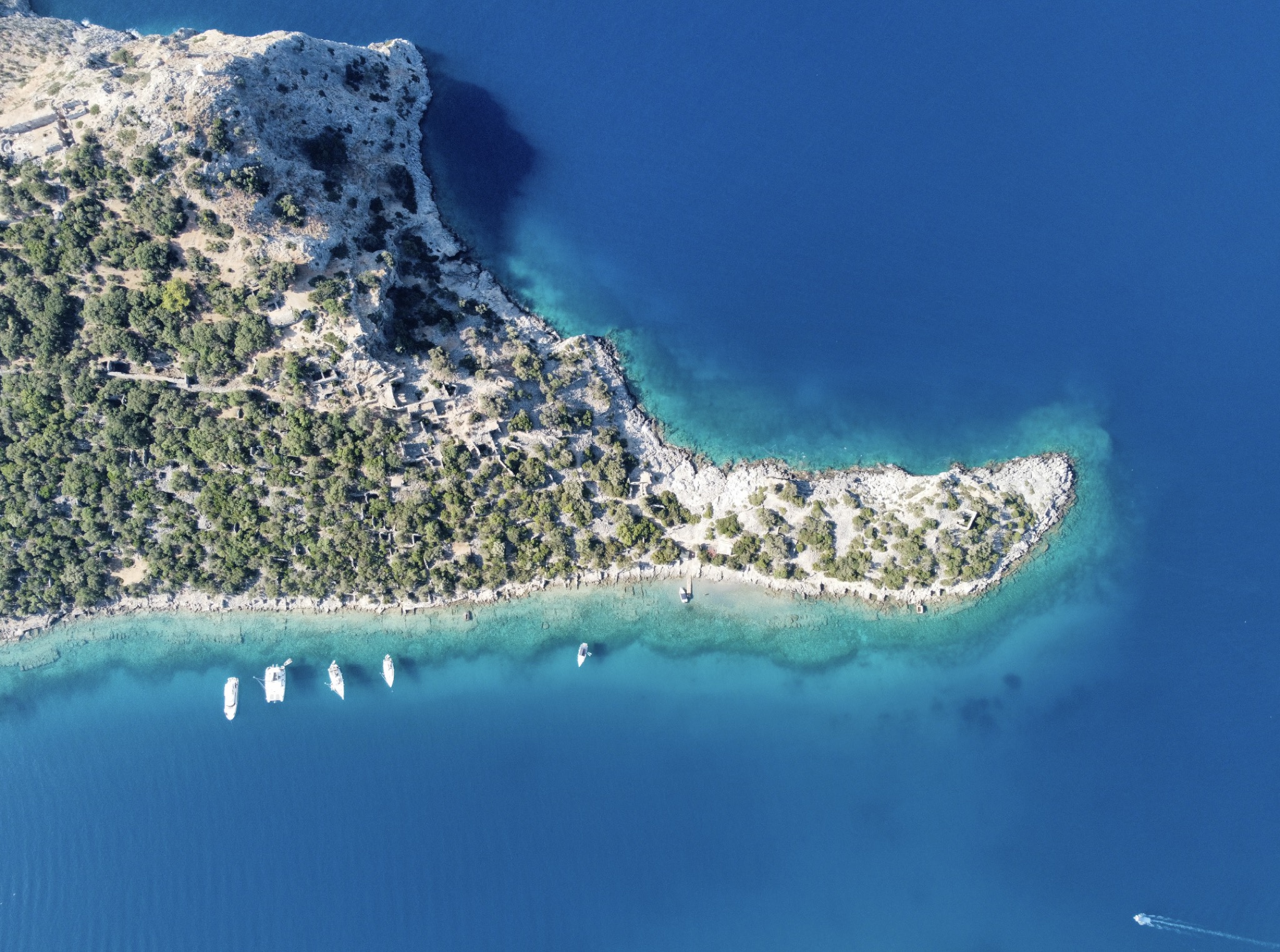 if you want you can choose to visit the island instead of the butterfly valley