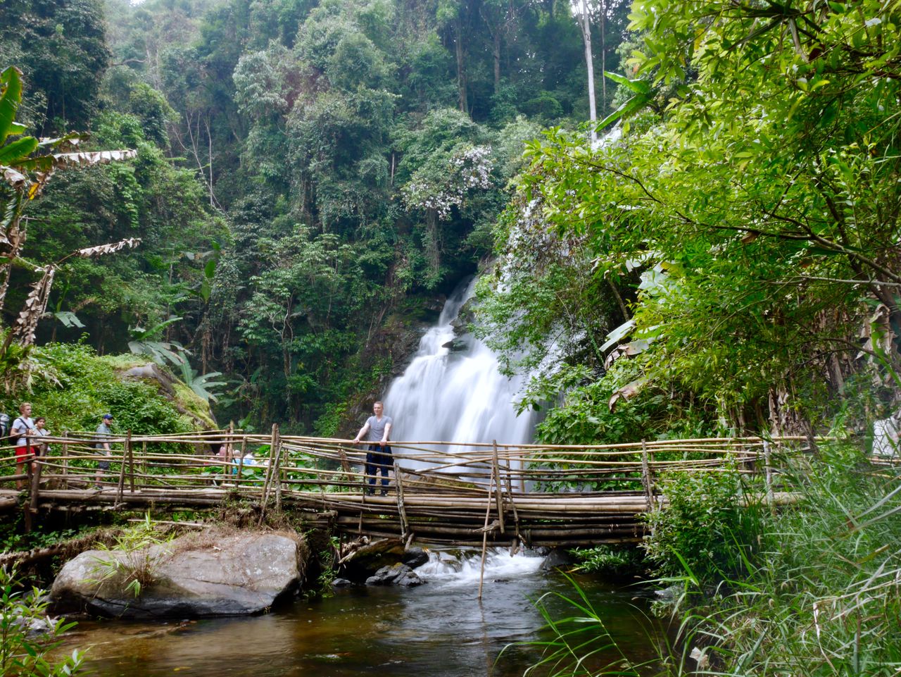 Chiang Mai: Doi Inthanon Reforestation and Trekking Tour