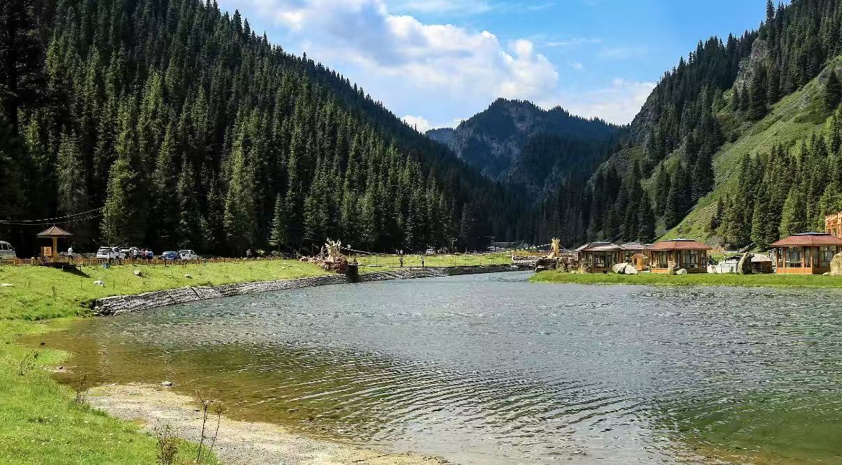 平緩湖面水波輕漾，近岸淺灘露出沙石，湖畔散落幾座原木小屋。整片山谷被連片蒼翠雲杉包裹，遠處山峰輪廓清晰，草甸鋪於湖邊，遊人車輛點綴其間，山野氣息悠然舒緩
